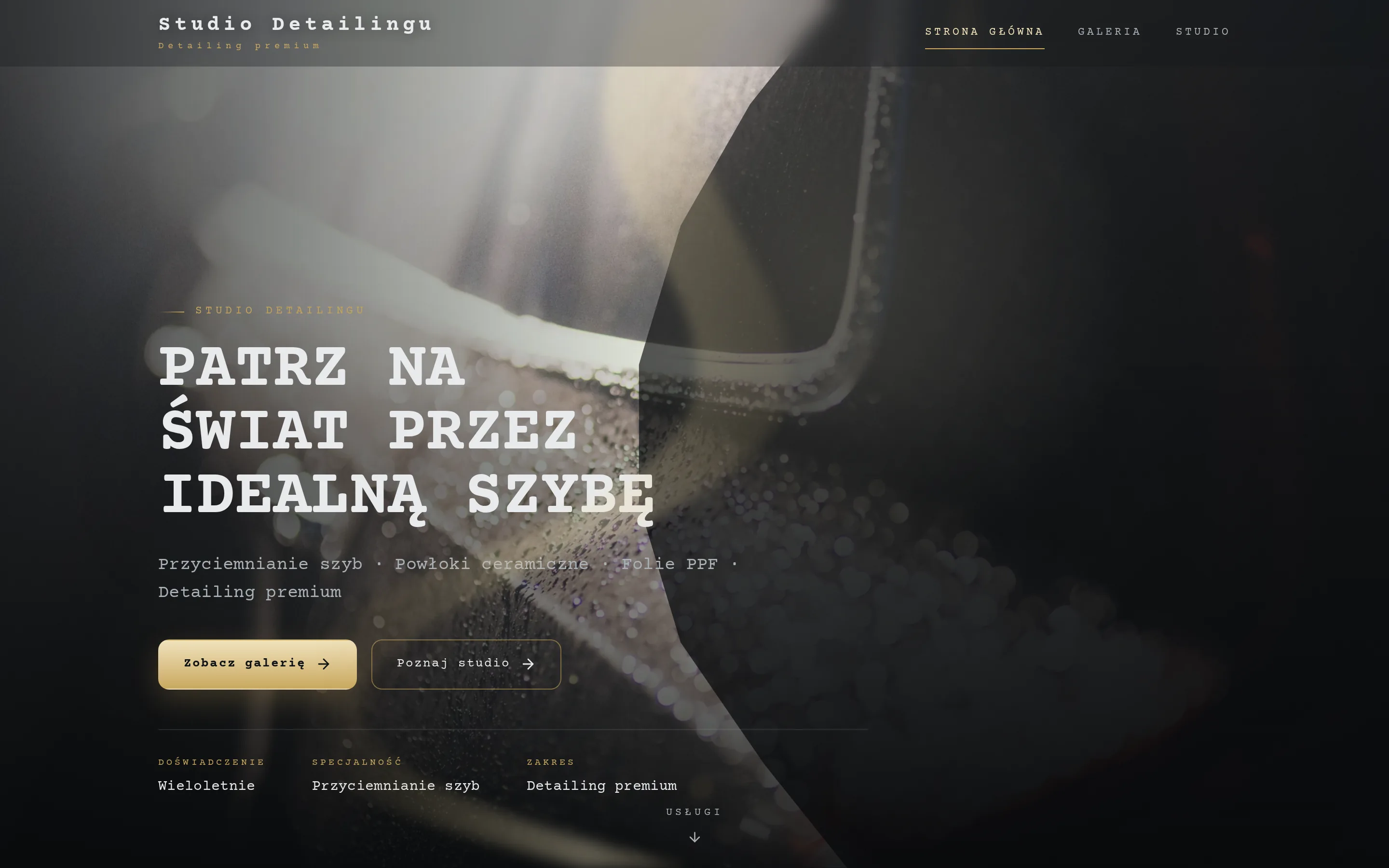 Zrzut ekranu strony Studio Detailingu